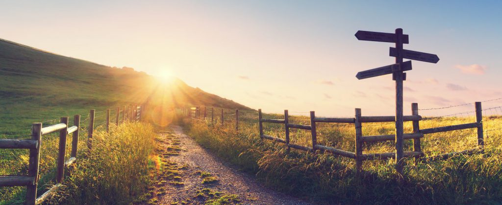 A signpost on a country path at sunrise