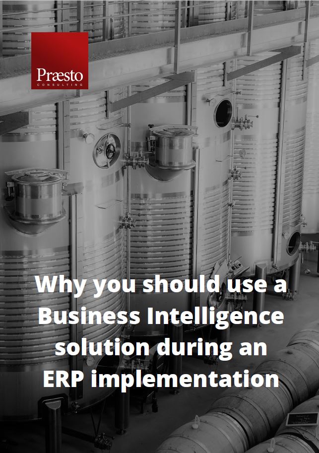 Cover of our whitepaper on using Business Intelligence during an ERP implementation