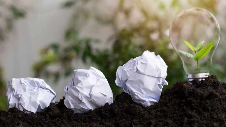 Des boules de papier froissé et une ampoule où pousse une jeune plante